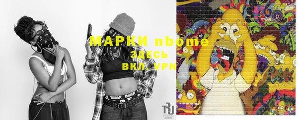 мдпв Алексин