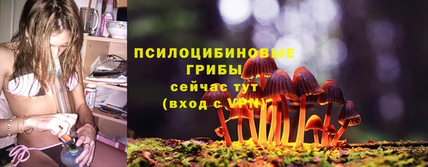 синтетический гашиш Алексеевка