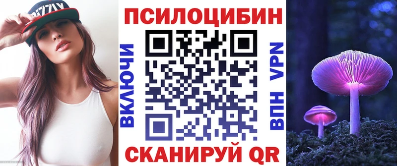 купить закладку  hydra ССЫЛКА  Псилоцибиновые грибы Psilocybe  Арамиль 